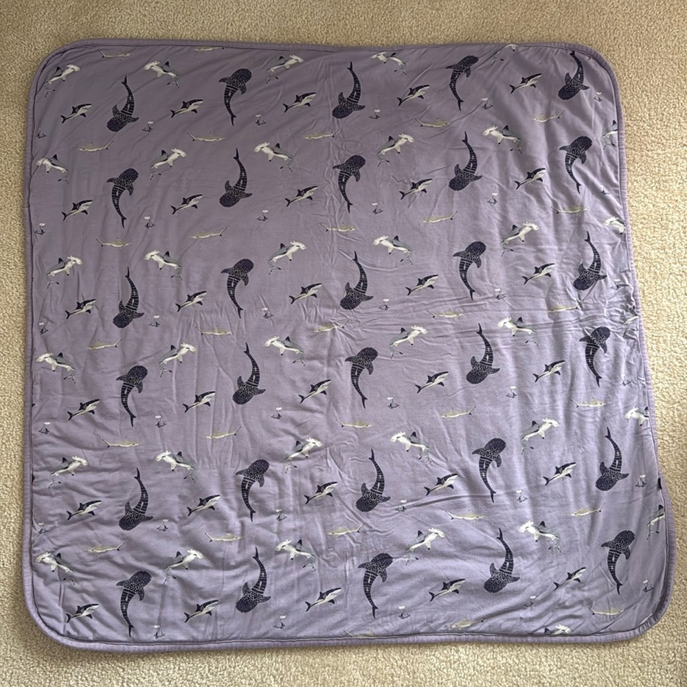 Kyte Baby baby blanket- Taro Shark 1.0tog